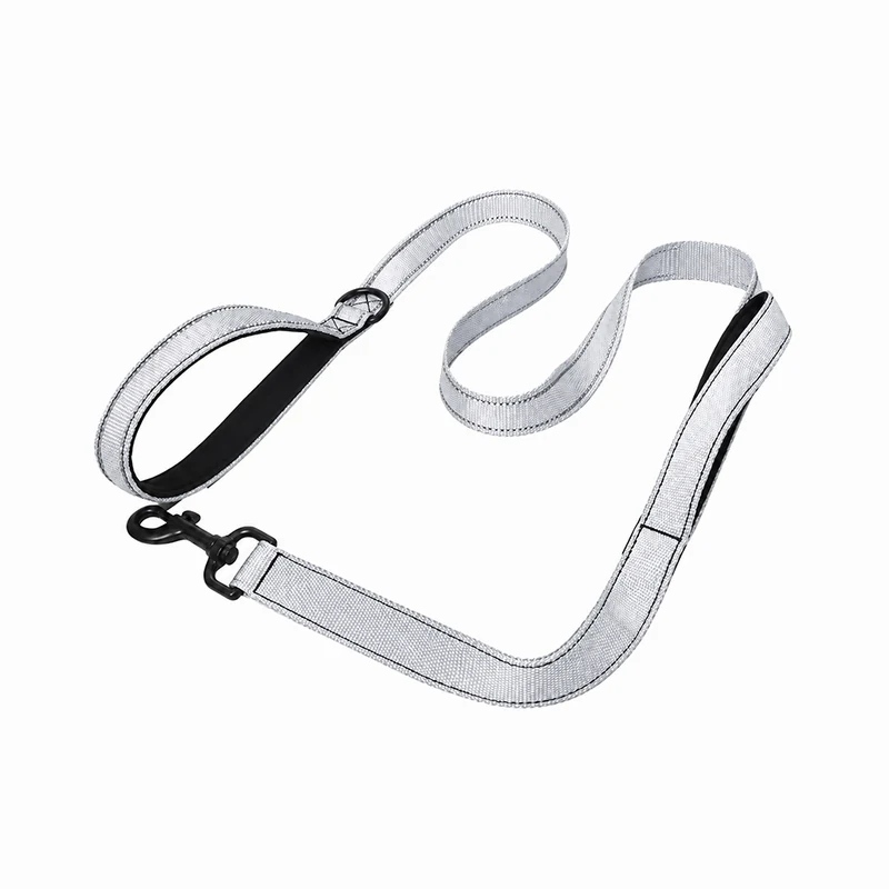 Double-Sided Reflective Double-Handled Dog Leash - Silver